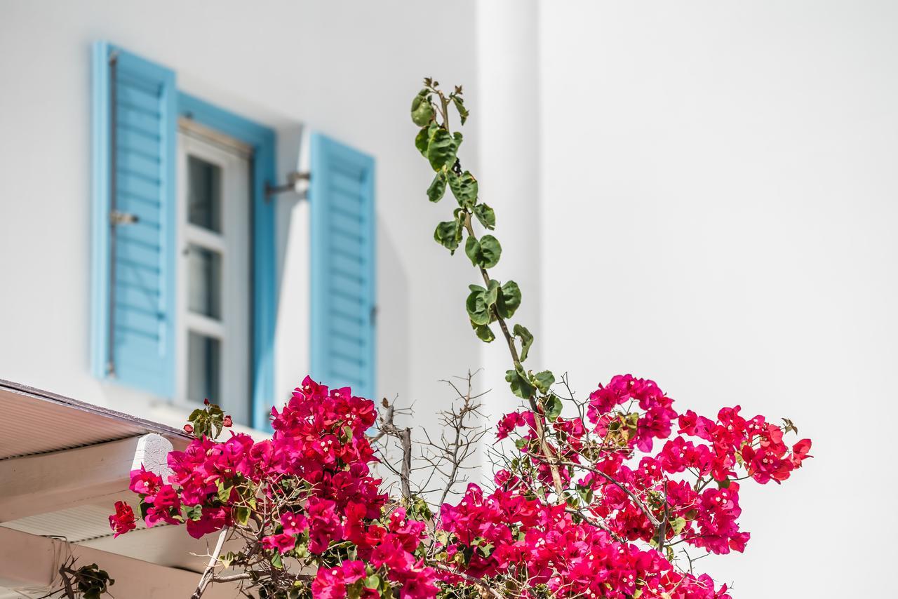 Agios Ioannis Diakoftis Capo Di Mykonos Resort מראה חיצוני תמונה