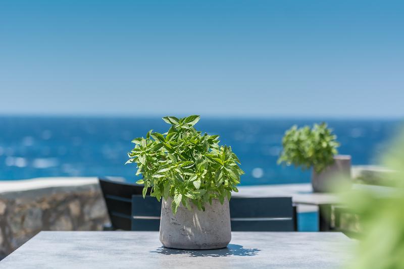 Agios Ioannis Diakoftis Capo Di Mykonos Resort מראה חיצוני תמונה
